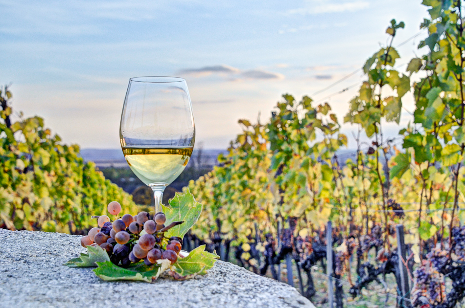 Gasztronomia Tokaj Fot Magyar Turisztikai Ugynokseg